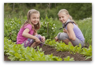 benefits of making a vegetable garden