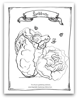 lettuce coloring page