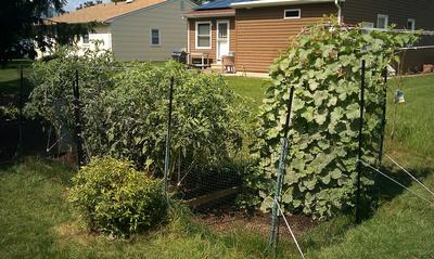 Simply Wicked Garden!