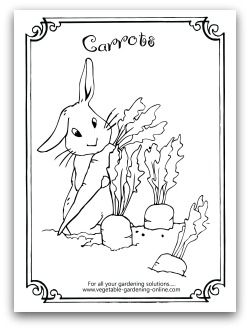 Carrot Coloring Page Printable