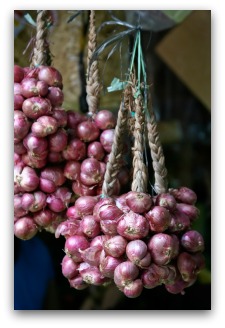 braiding onions for storage