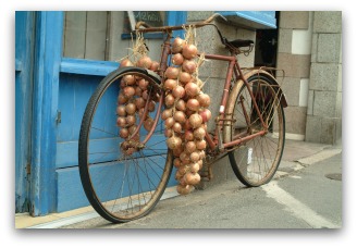 dried onion braids hanging from bicycle