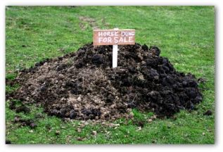 wooden sign advertising manure for sale in a pile of manure