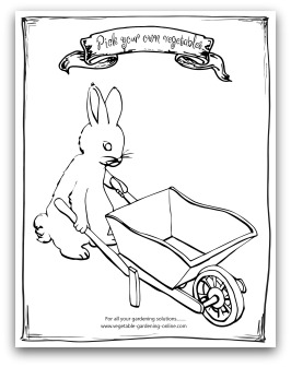 printable bunny with draw your own vegetables page