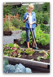 Planning a Home Vegetable Garden Planning a Home Vegetable Garden