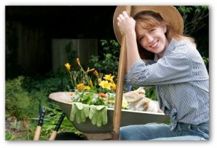 Planting a garden