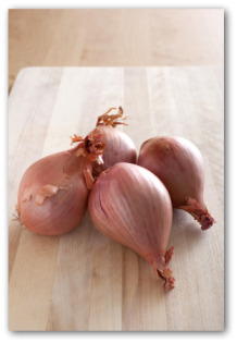 cooking with shallots