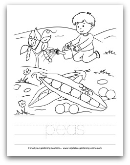 Preschool Art Activities and Printable Learning Activities