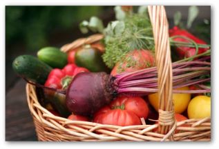 raised Vegetable Garden beds