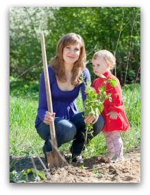 planting berry bushes
