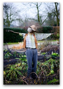 garden scarecrow ideas
