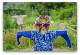 garden scarecrow with scarf
