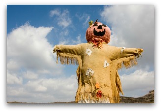 fun halloween scarecrow idea