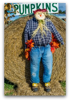 farner scarecrow idea