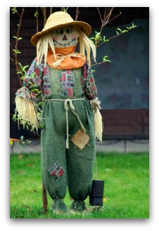 cute garden scarecrow example