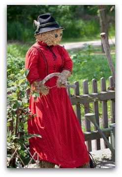 Lady Pioneer Scarecrow