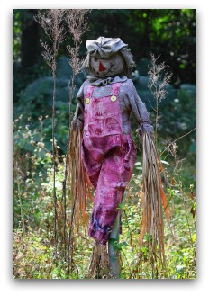 garden scarecrow with purple overalls