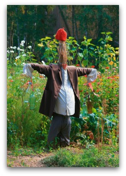 fun scarecrow for the garden