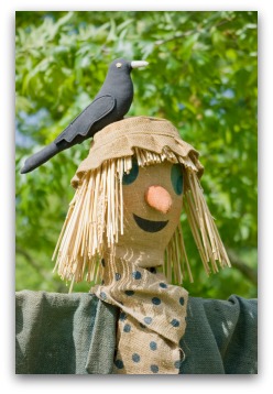 Fun Scarecrow Ideas for Your Garden