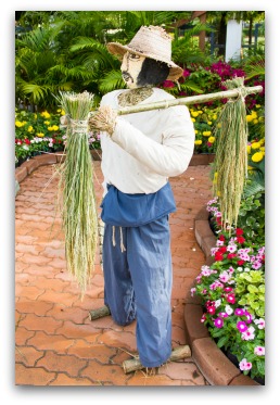 Great Scarecrow Ideas