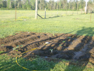 Just Starting Just Starting