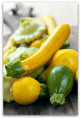 growing zucchini and other summer squash varieties