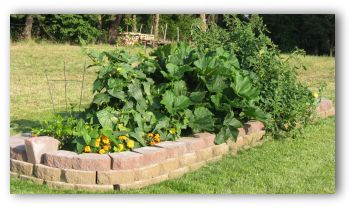 raised bed vegetable garden