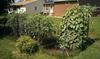 Simply Wicked Garden!