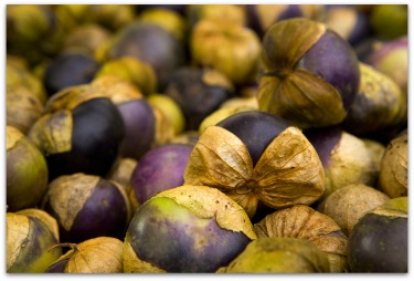 ground cherries tomatillos husk tomatoes online menu planner