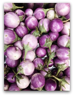 purple turnip variety