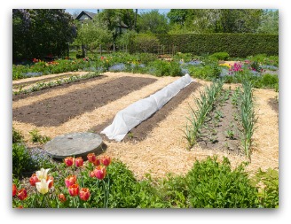 Mulching A Vegetable Garden Helps With Weeds And Water