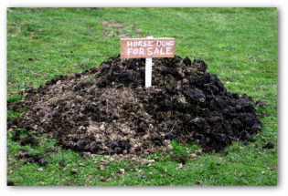 vegetable garden fertilizer