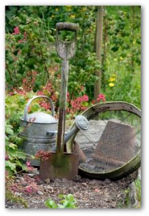 preparing soil for vegetable garden