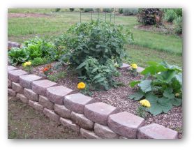 Vegetable Garden Plan, Tips and Layout for Home Gardening