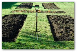 Backyard Vegetable Garden Design