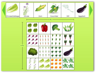 Square Foot Vegetable Garden Layout