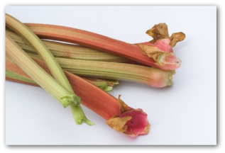 victoria rhubarb