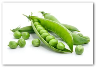 ripe peas in the pod
