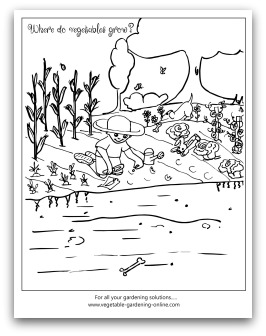 where do vegetables grow coloring page