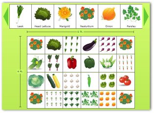 4x6 sample vegetable garden plan