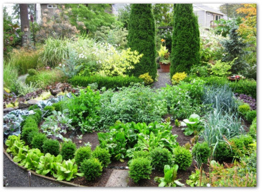 circular ornamental vegetable garden