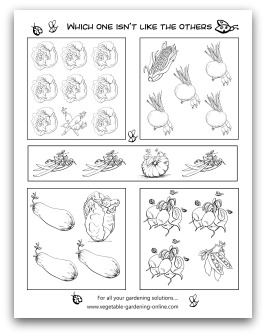 which one isn't like the other printable worksheet