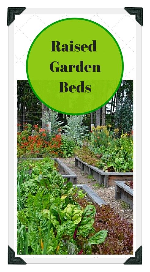 raised vegetable garden examples and ideas