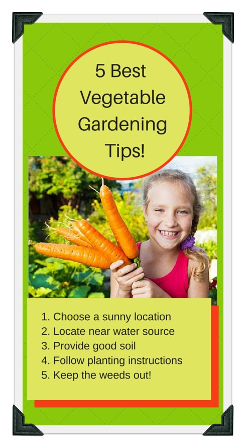 5 important vegetable gardening tips for success