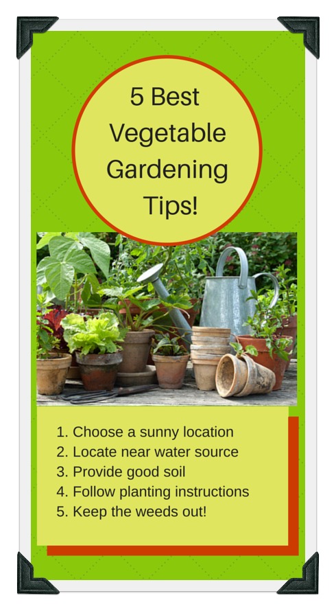 5 most important vegetable gardening tips for success