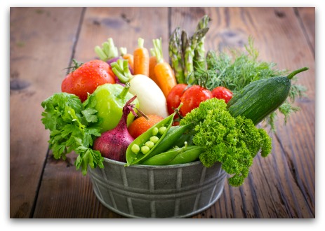 bountiful harvest from the vegetable garden