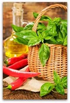 fresh basil can be stored in oil for winter use