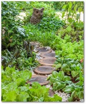ornamental vegetable garden idea