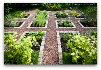 beautiful home vegetable garden plan