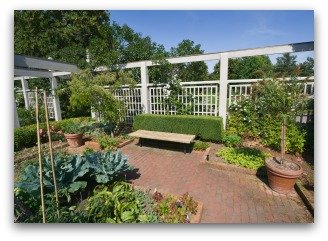 beautiful raised bed vegetable garden on a patio